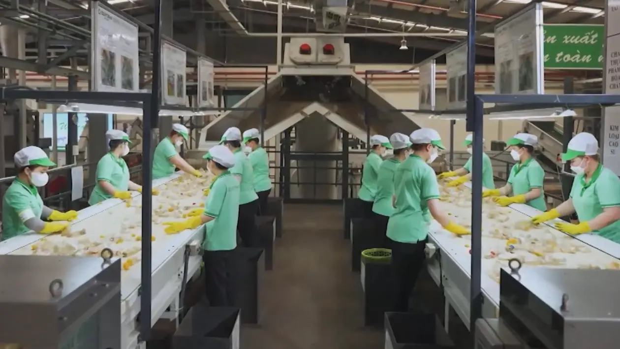 Doanh nghiệp Việt và hành trình chuyển đổi xanh